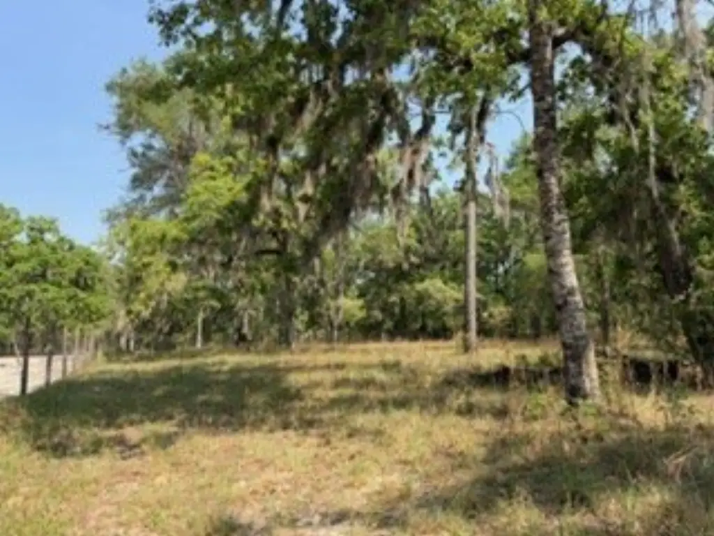 Picture 24