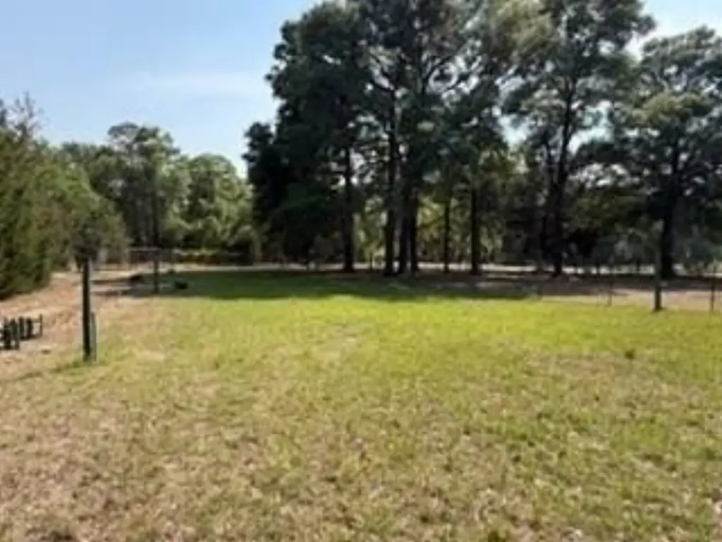 Picture 4