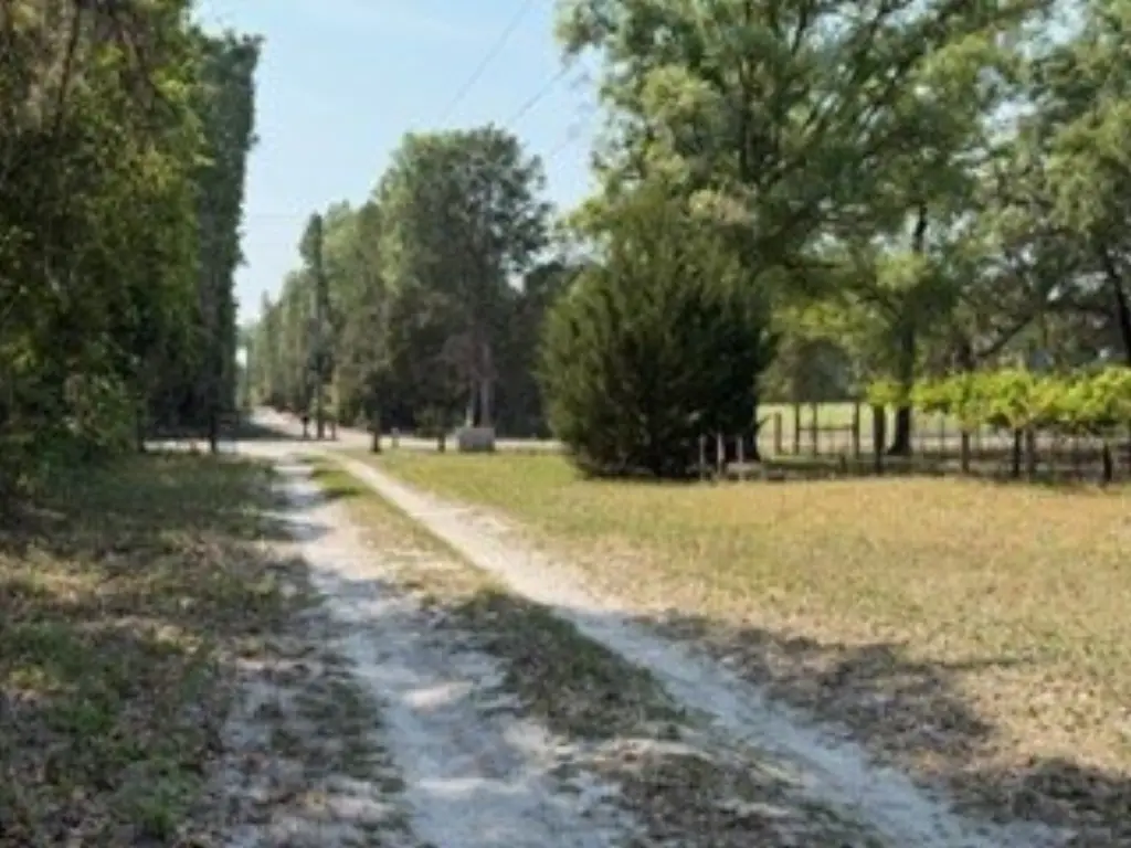 Picture 26