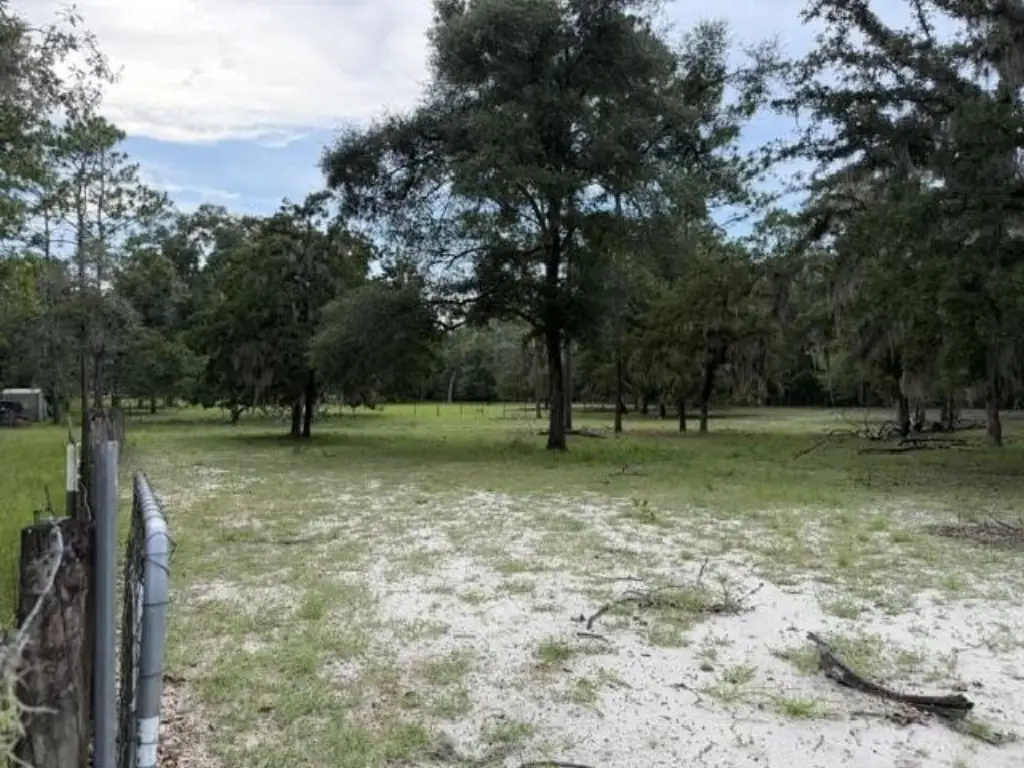 Picture 40