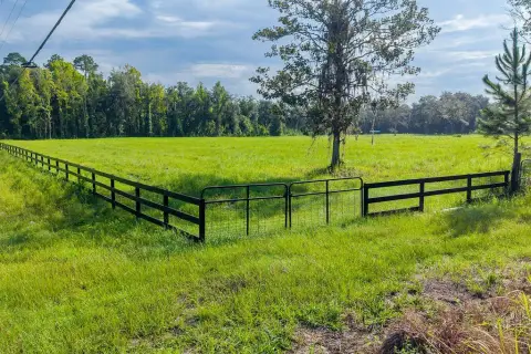 Cleared Agricultural Land