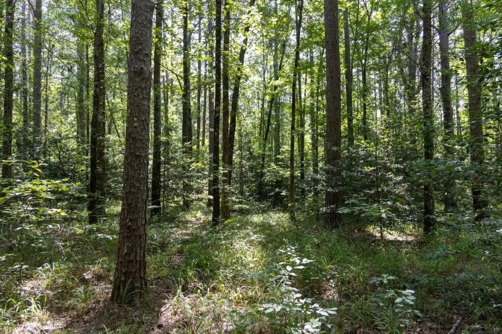Picture 49