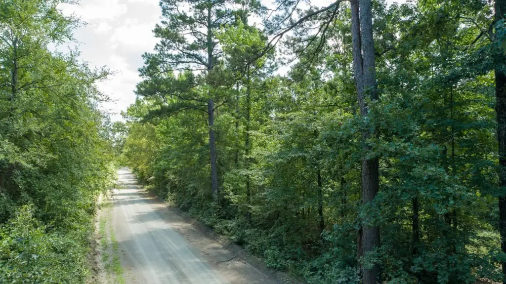 Picture 3