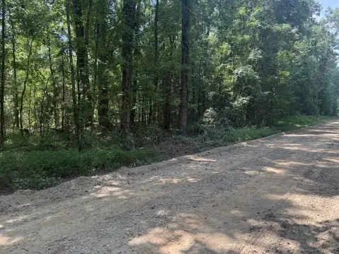 64-Acre Hunting Land
