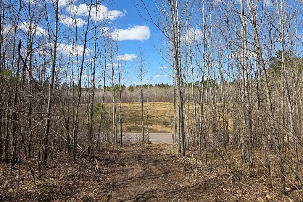 Picture 16