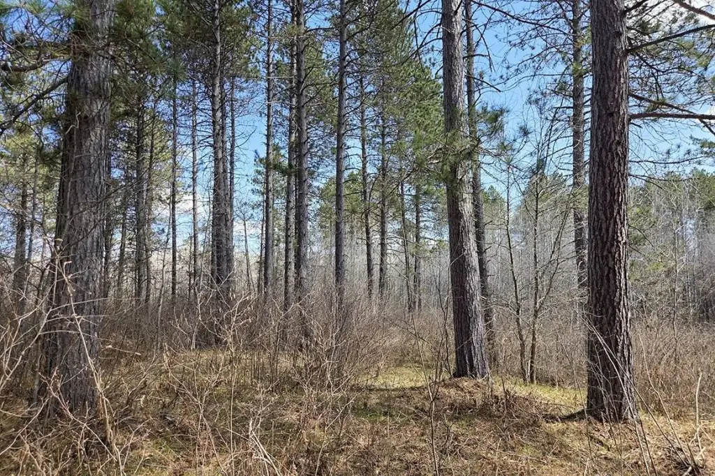 Picture 19