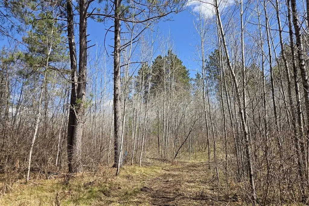 Picture 22