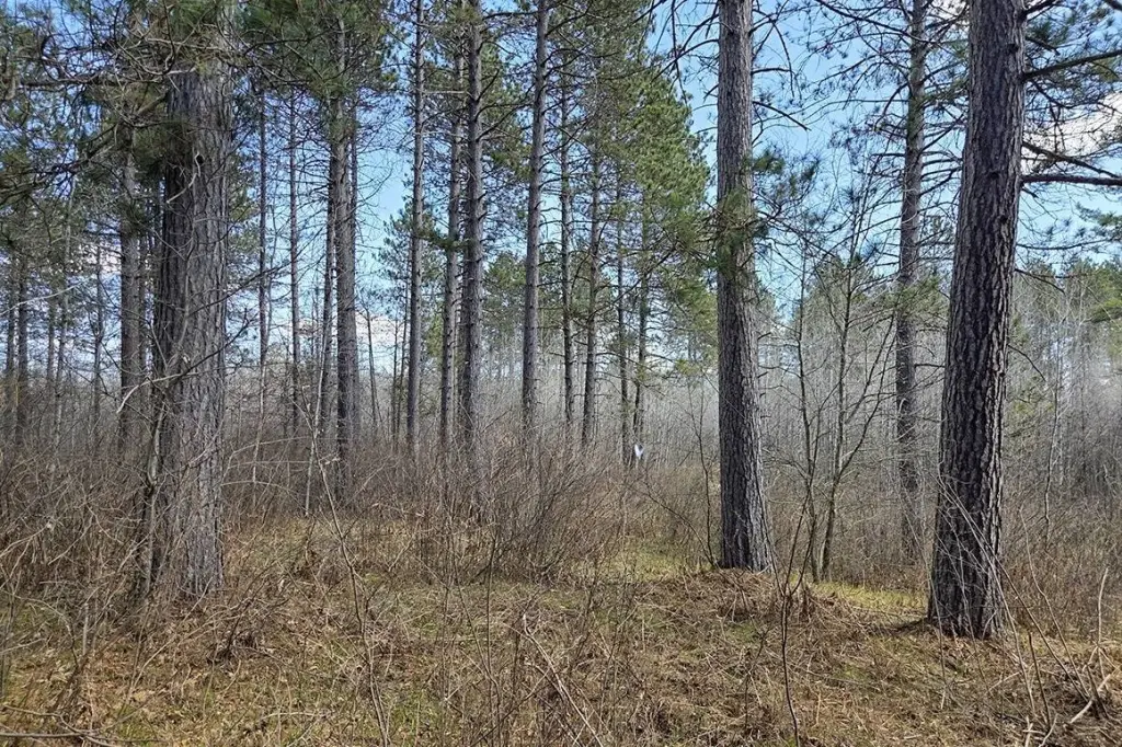 Picture 18
