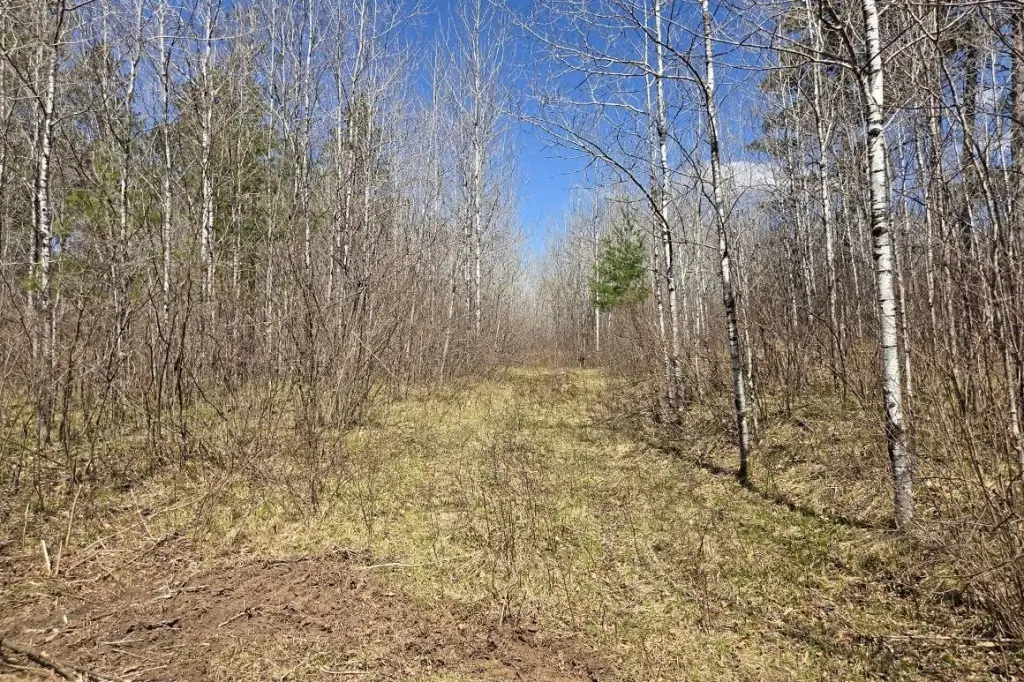 Picture 23
