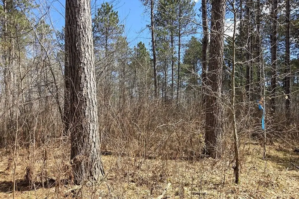 Picture 16