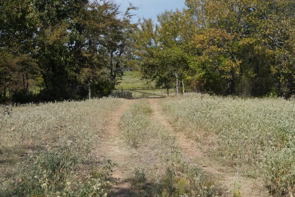 Picture 29