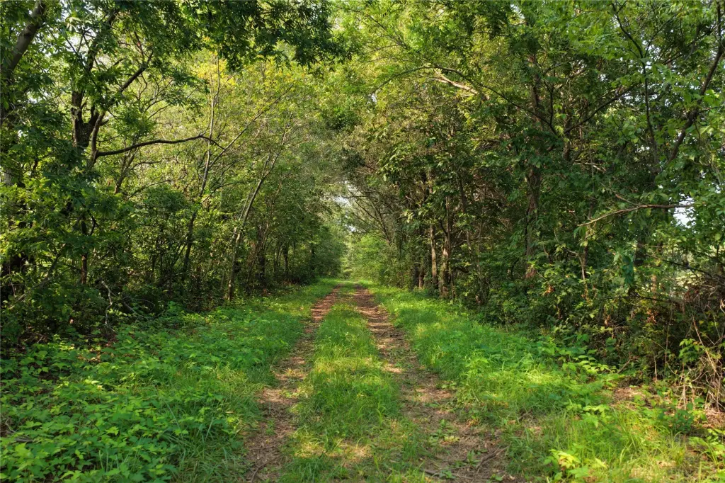 Picture 19