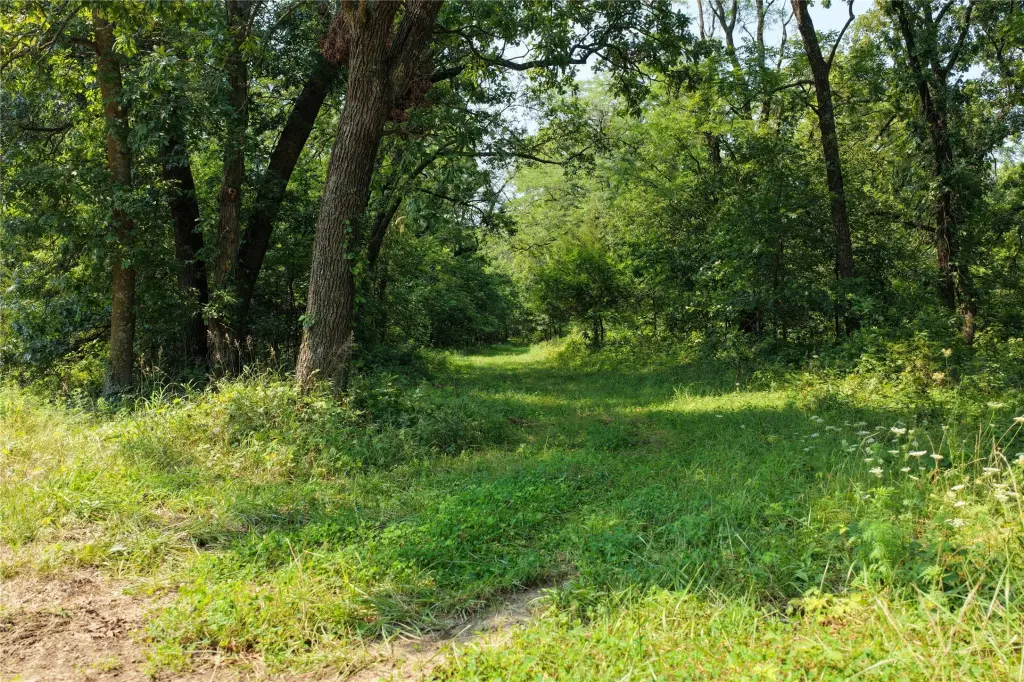 Picture 23