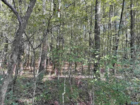 6.28 Acres in Athens, AL