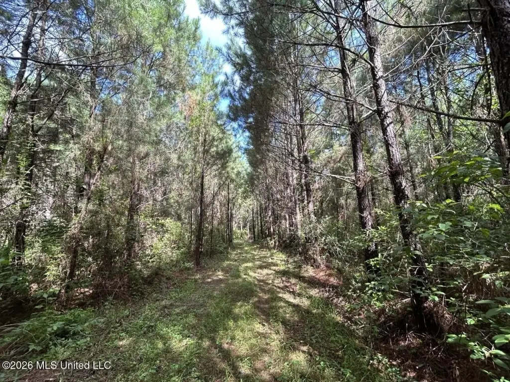 Picture 28
