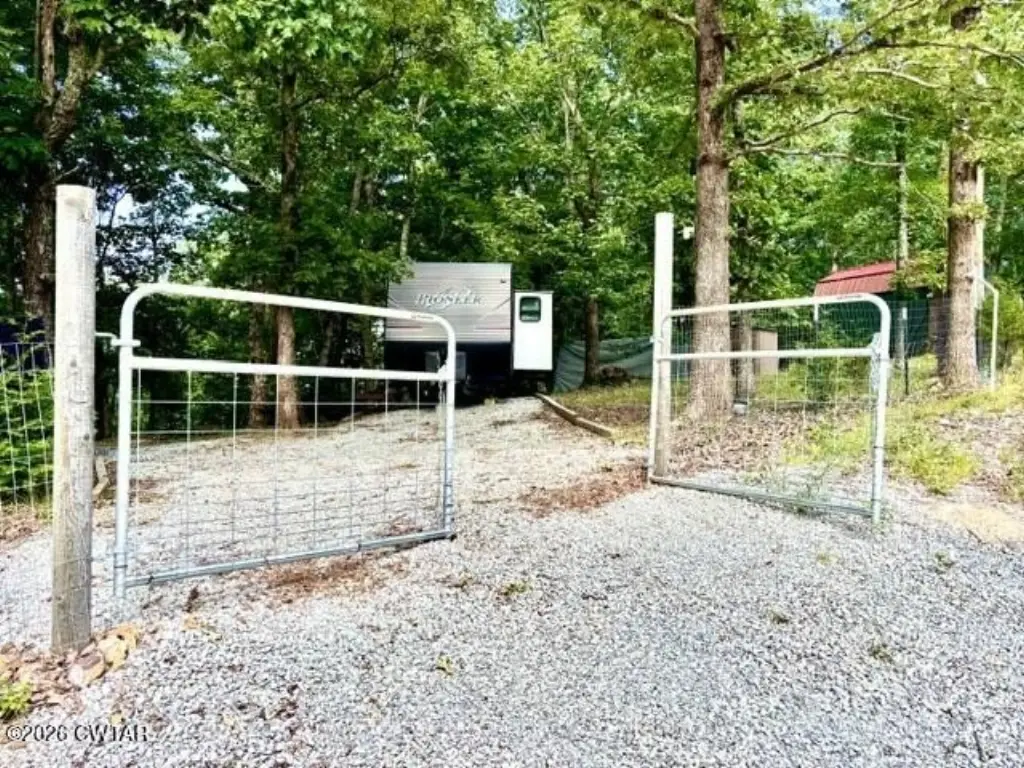 Picture 2