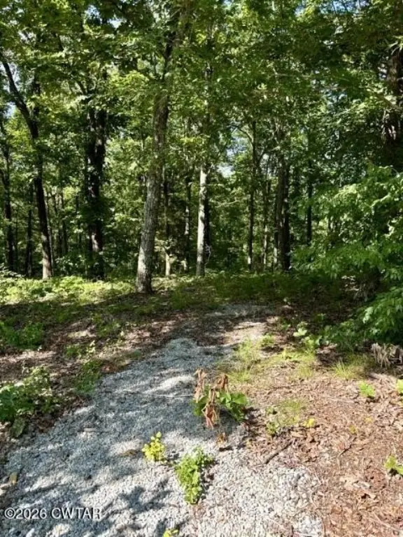 Picture 18