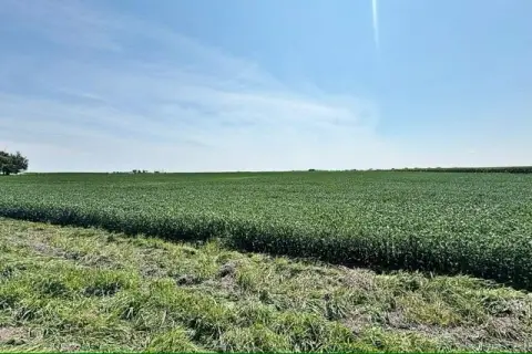 75.43 Acres Farm Land, Clare