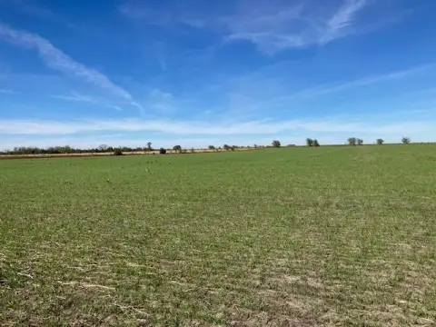 Land For Sale in Lake Creek