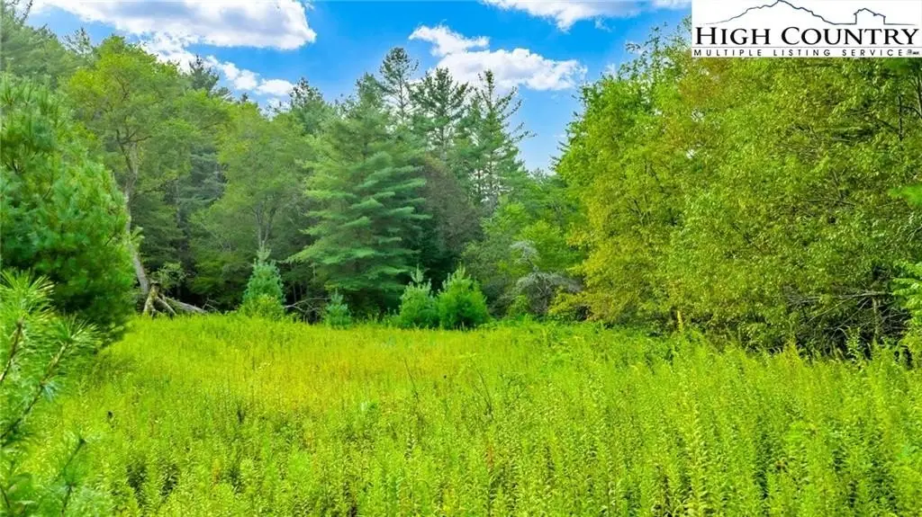 Picture 21