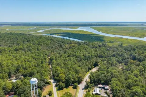Riverfront Acreage in Townsend, Georgia