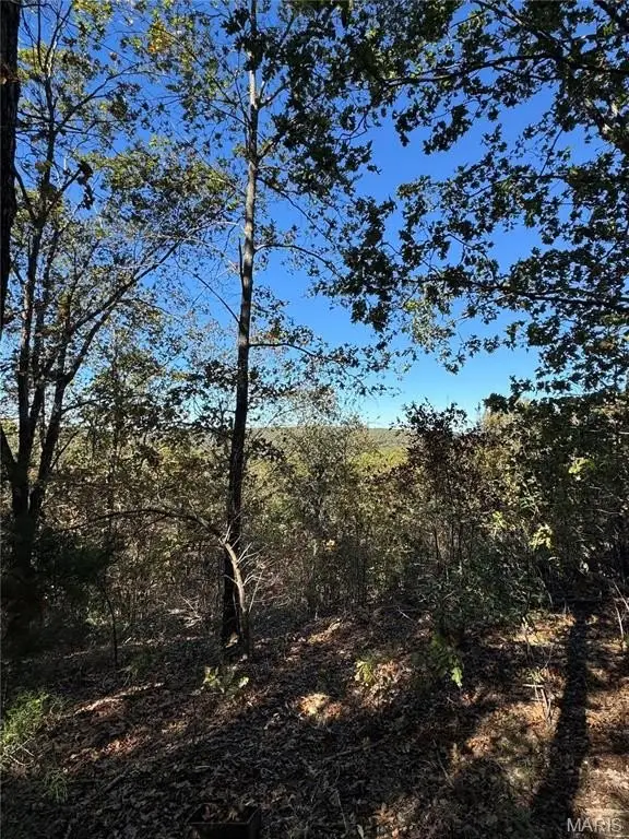 Picture 12