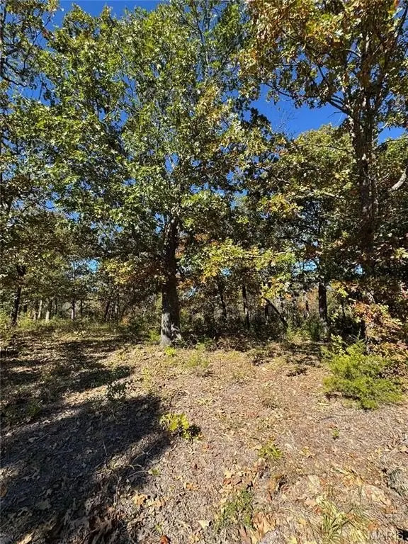 Picture 14
