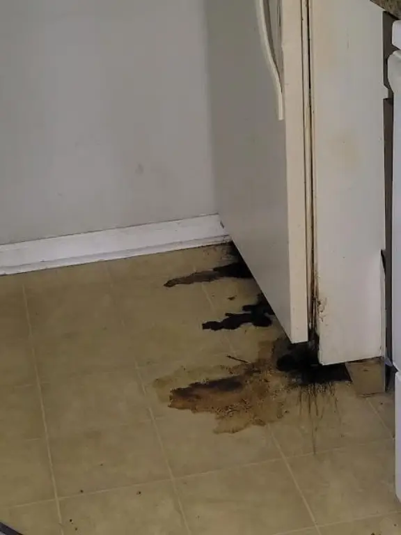 Picture 43