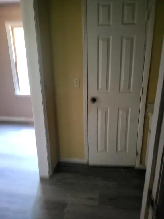 Picture 50