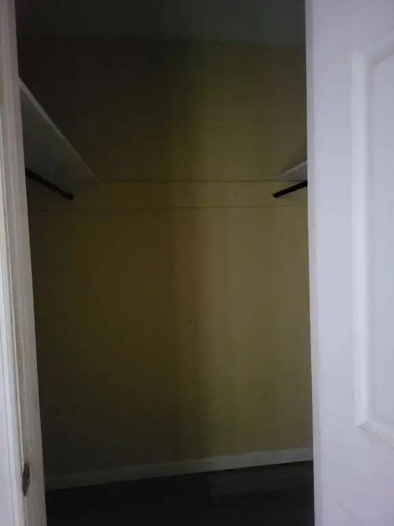Picture 47