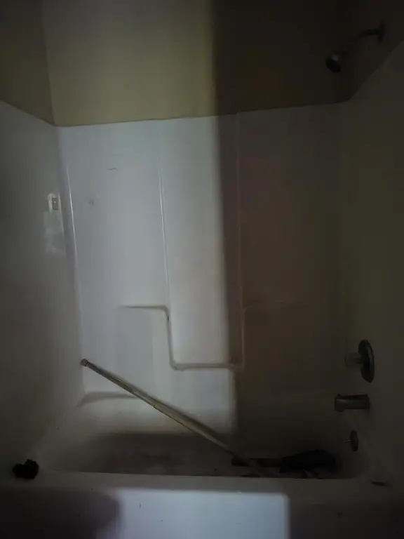 Picture 51