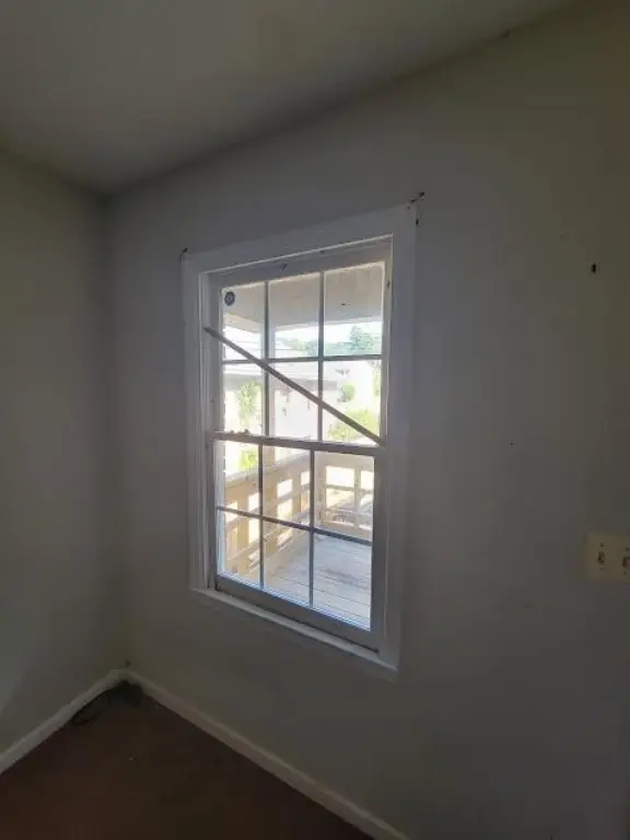 Picture 16