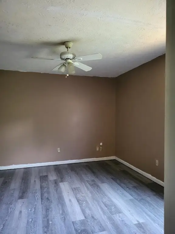 Picture 46