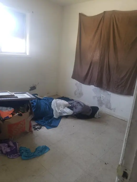 Picture 23