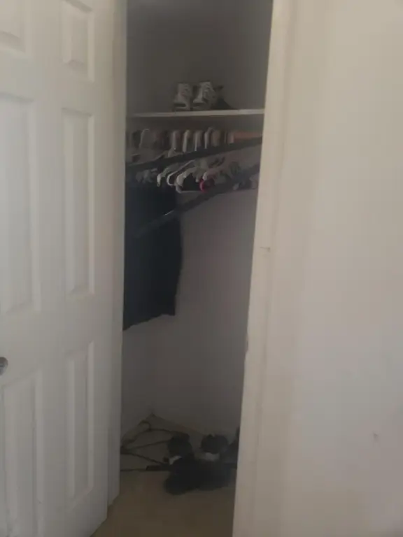 Picture 26