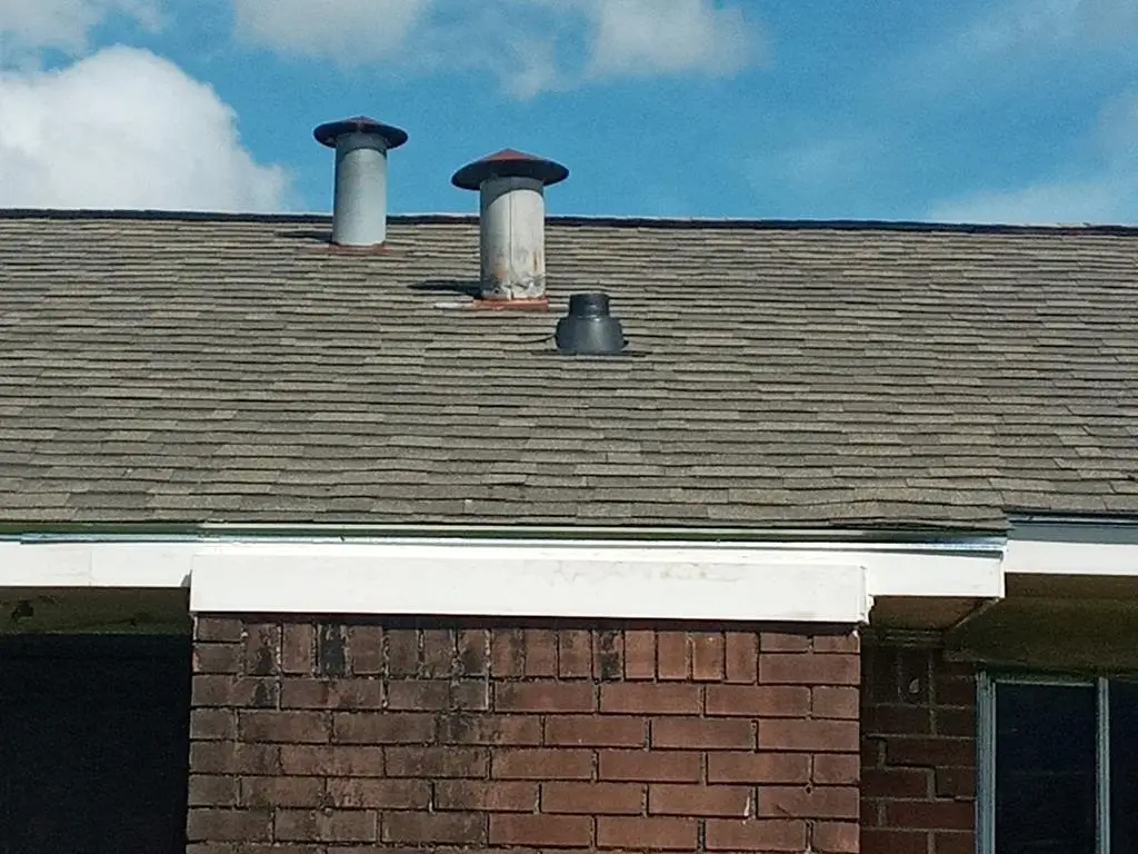 Picture 15