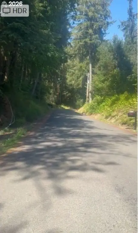 Picture 6