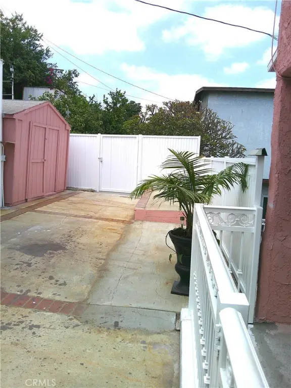 Picture 12