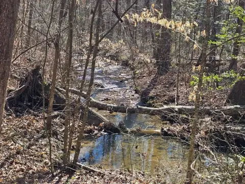 Ellijay, GA Vacant Lot