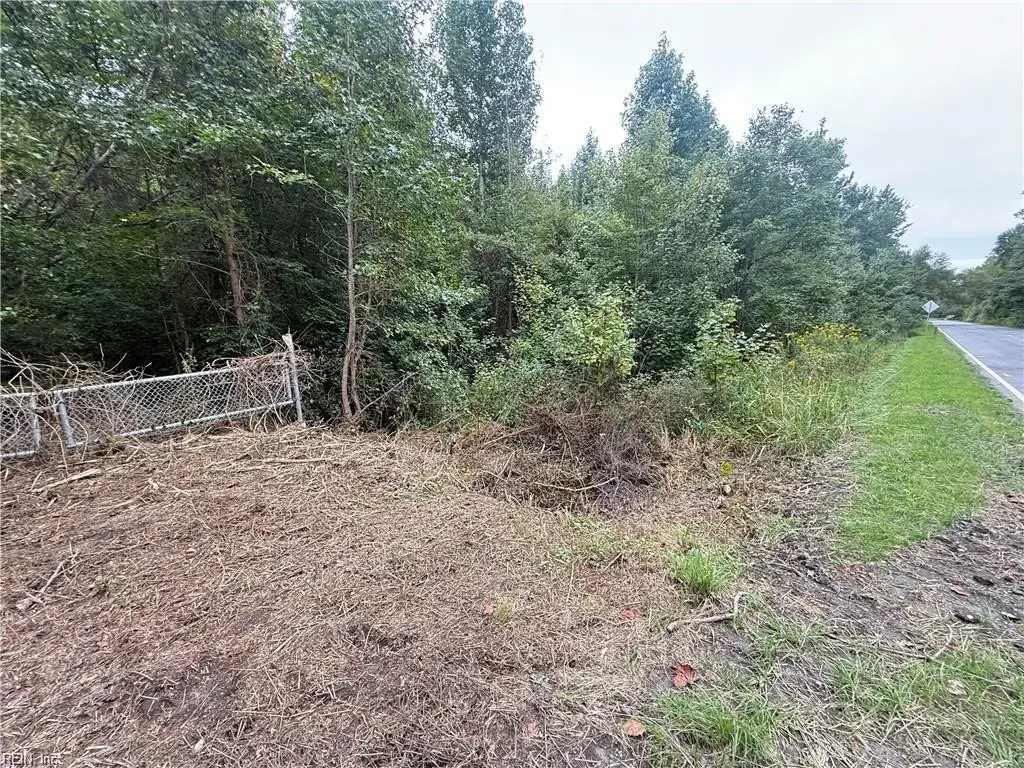 Picture 19