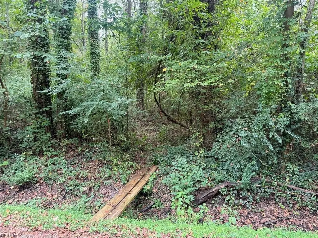 Picture 14
