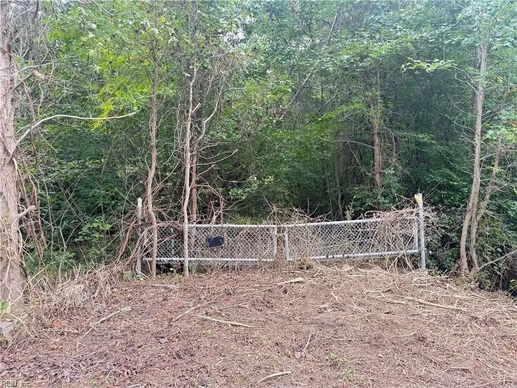 Picture 3