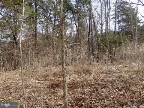 Wooded Lot Near Shenandoah River