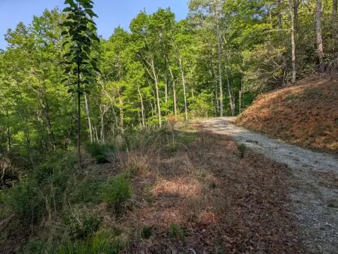 Unrestricted Land in Cowee Valley