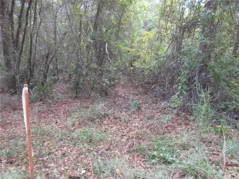 Wooded Lot Near Ocala Forest