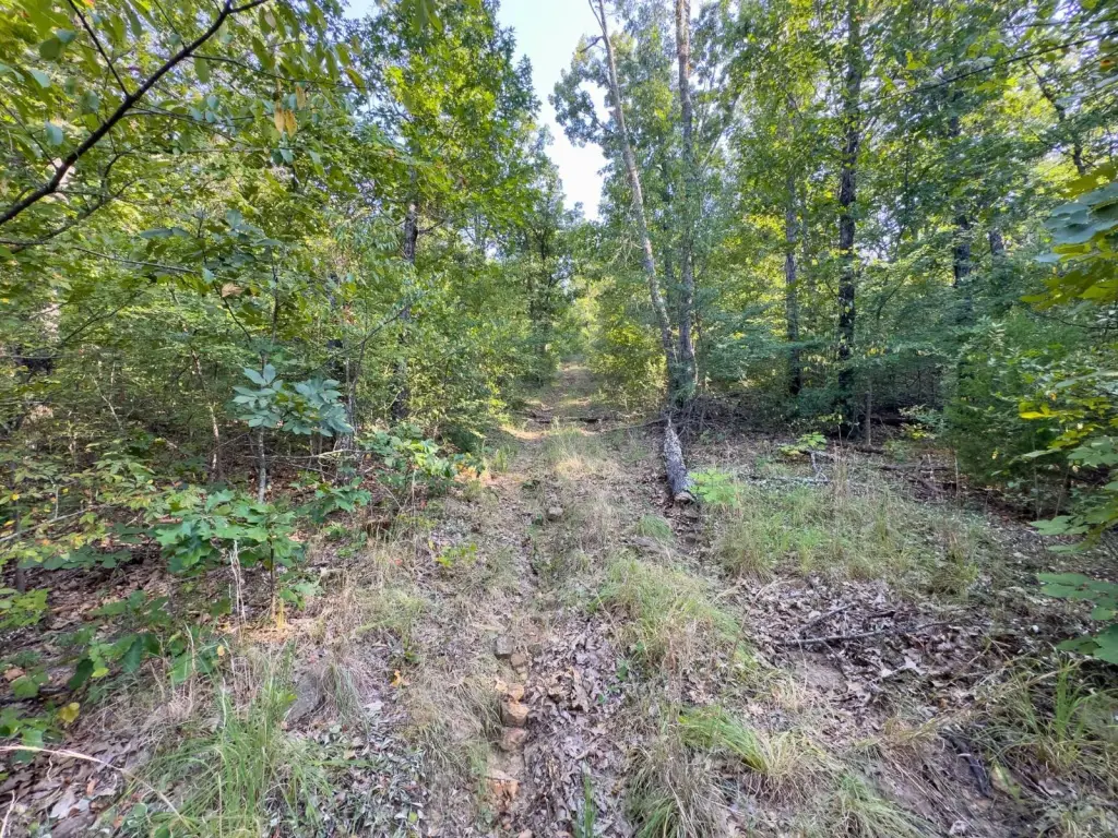 Picture 41