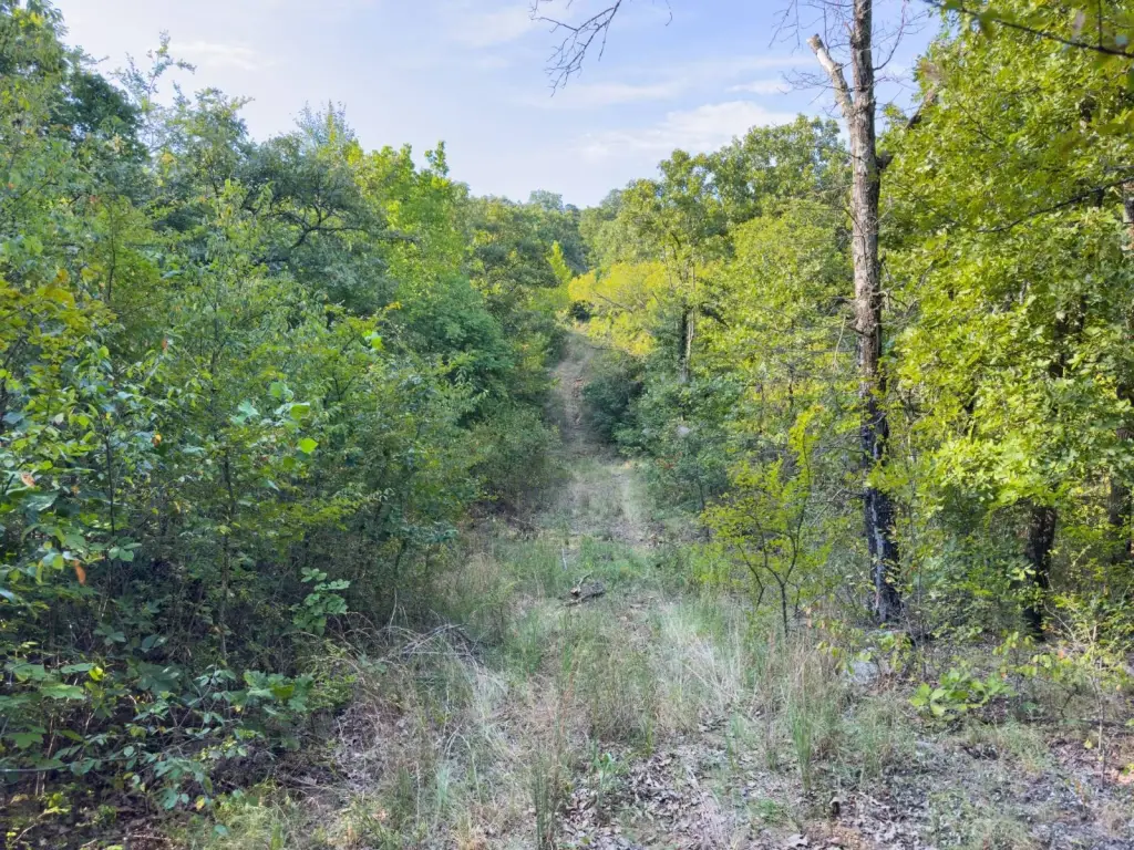Picture 42