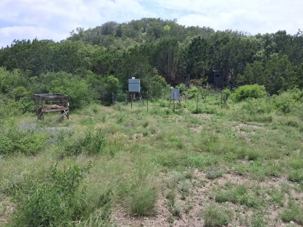 Picture 22