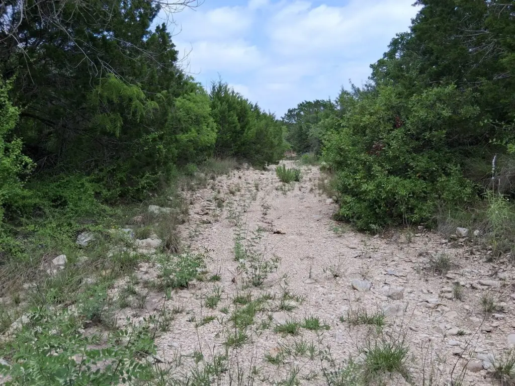 Picture 21
