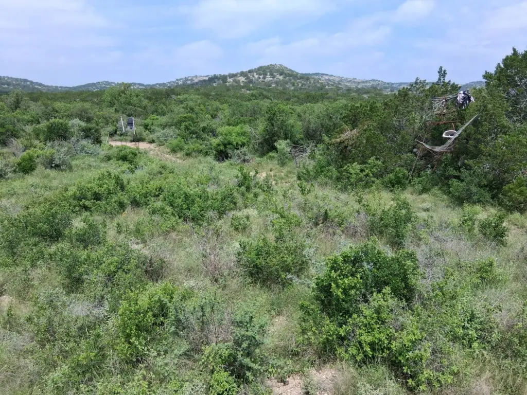 Picture 23